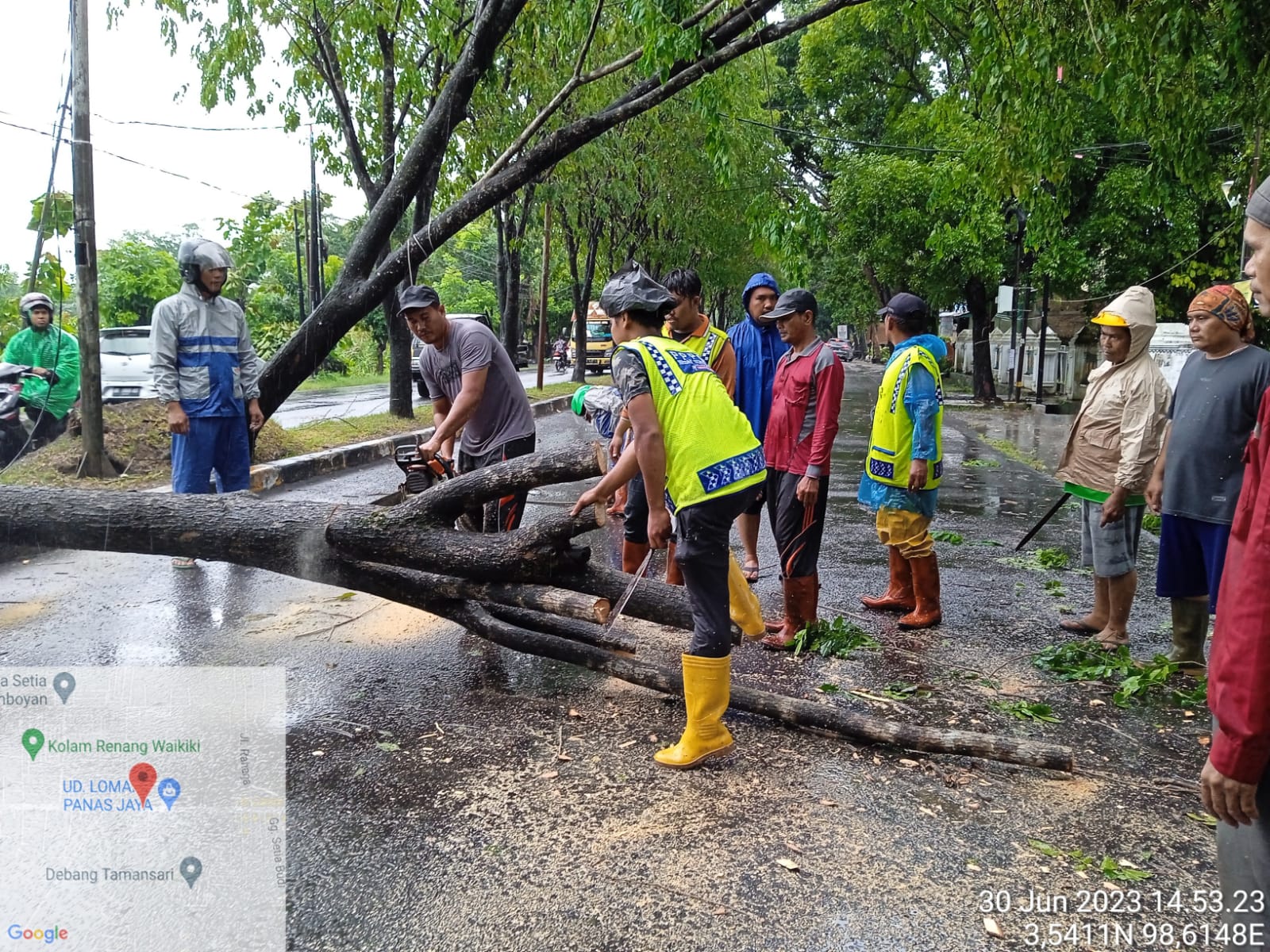 Respon Gercep Penanganan Pohon Tumbang 5 Titik Di jalan Flamboyan Raya, Tj. Selamat